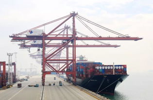 11月份中国出口集装箱运输市场评述